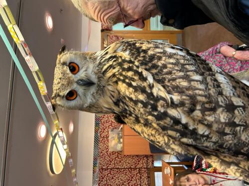 Birds of Prey Visit - April 2023